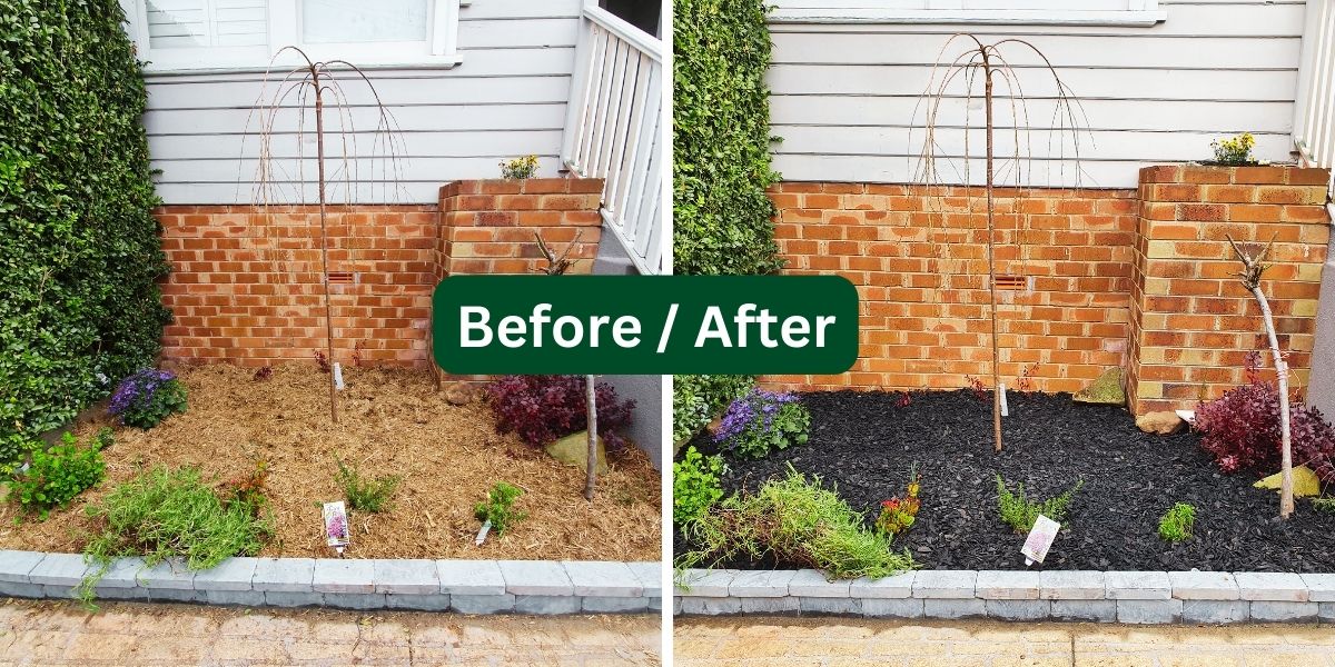 Yard transformation 3
